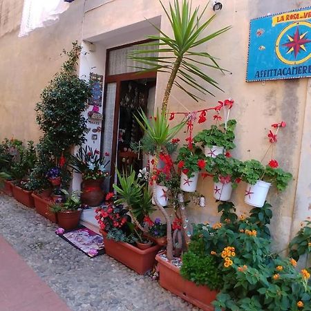 Affittacamere Rosa Dei Venti Levanto Luaran gambar